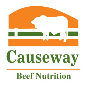 Causeway_logo_new