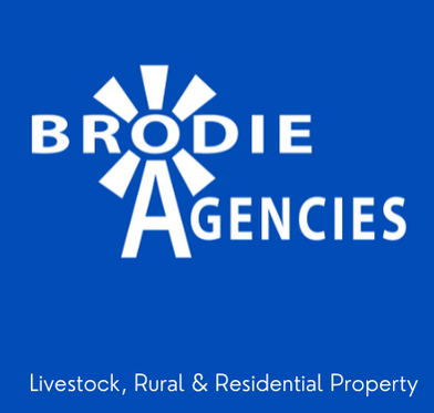 Brodie Agencies Logo