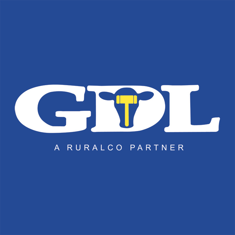 gdl-logo-square